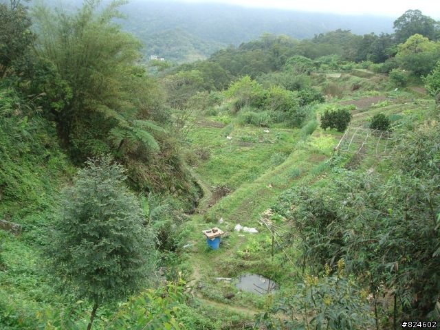 石碇北47 - 小山小水的閒情逸致