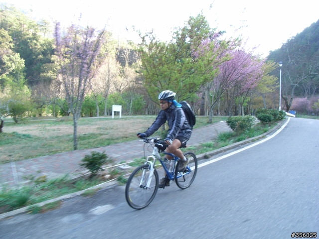 [遊記] 海拔1800M自行車道超感動誌 中橫宜蘭支線~武陵農場單車2日遊(2011.02.21 update)