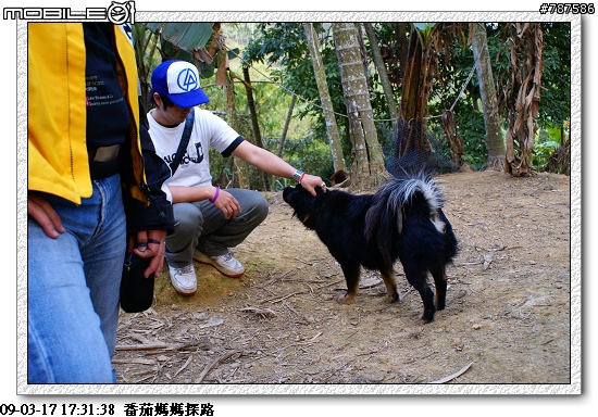 [關懷盃]任務成功~感謝大家!!3月29日青年節~關懷盃第二彈~~番茄媽媽~~