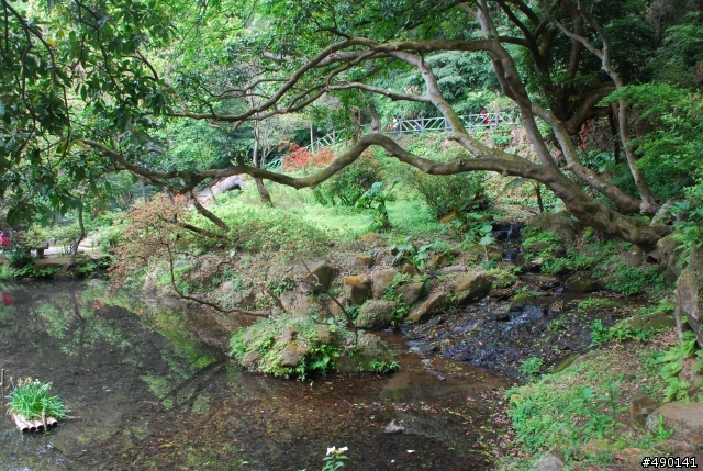 一個人的旅行～陽明山花季<圖多>待續.....