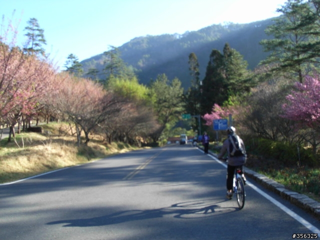 [遊記] 海拔1800M自行車道超感動誌 中橫宜蘭支線~武陵農場單車2日遊(2011.02.21 update)
