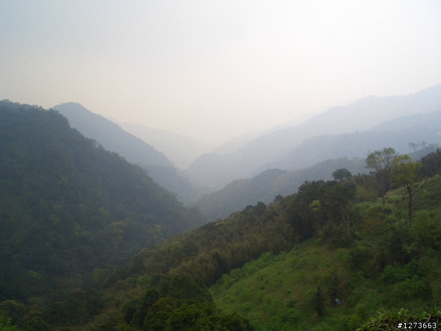 東眼山路線~新手爬山~圖多!