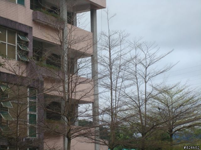 石碇北47 - 小山小水的閒情逸致
