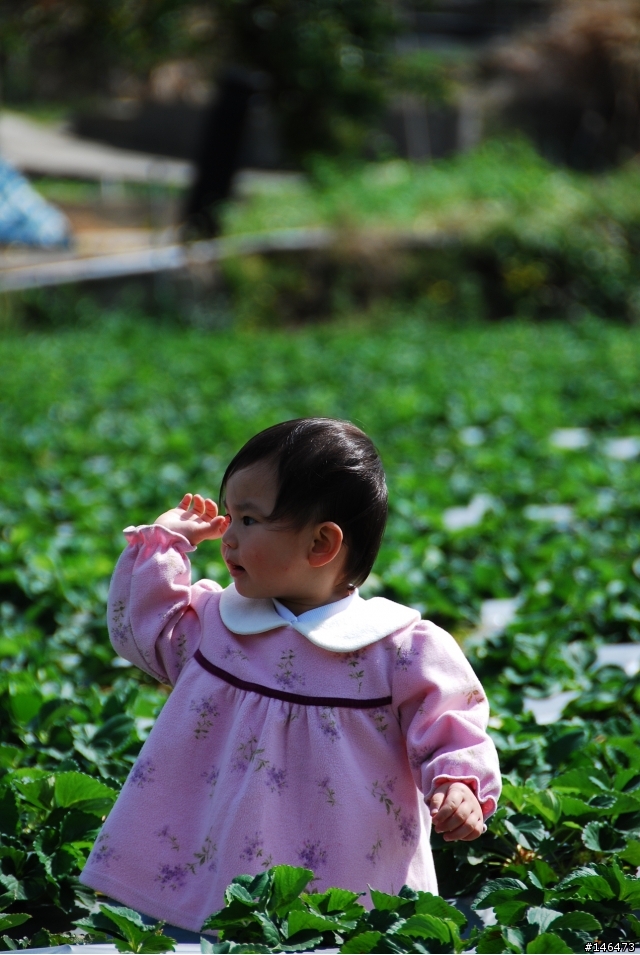 Simga?Nikon?不用考慮了N18-200VR 旅遊好鏡