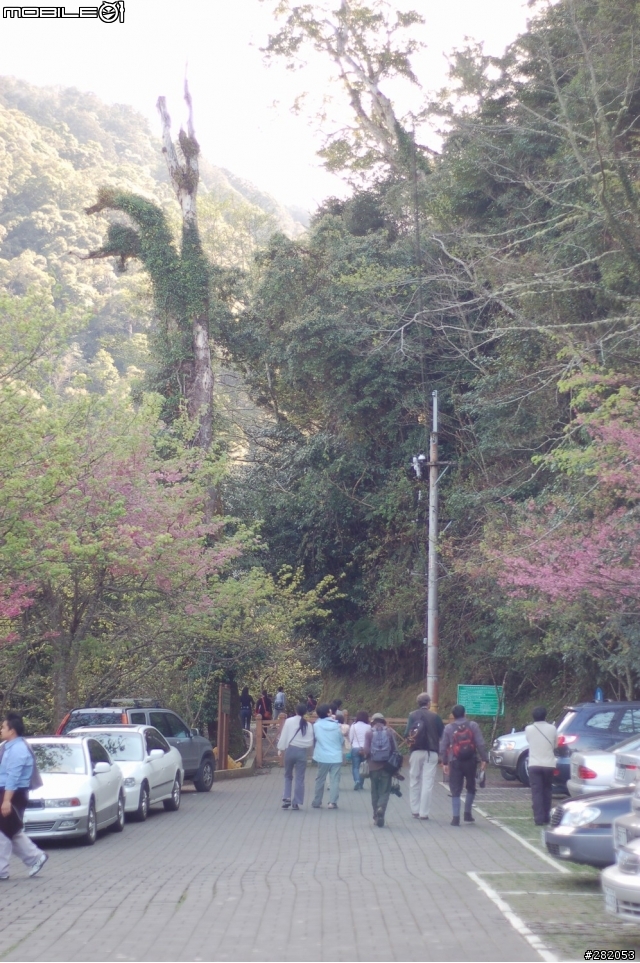 拉拉山二日遊