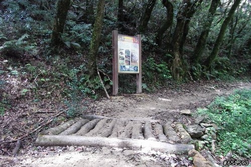 20090315再訪浸水營古道