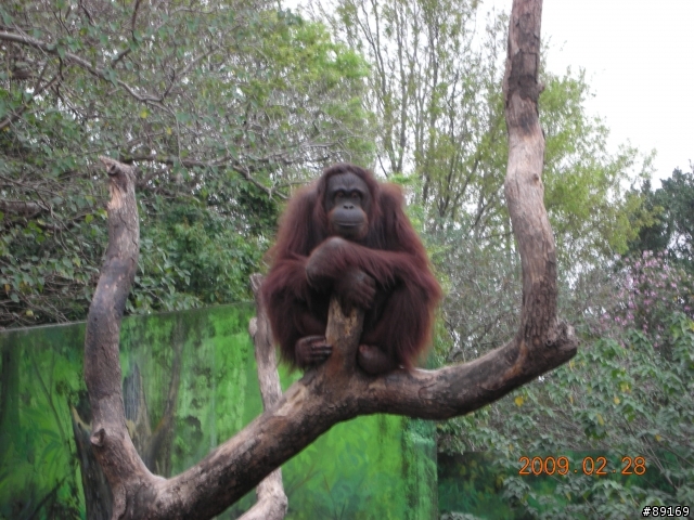 新竹動物園