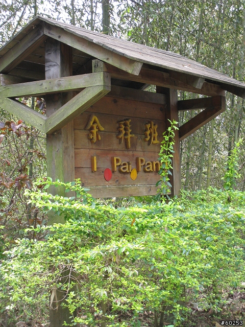 嘉義縣 中埔→阿里山公路→龍美→達娜伊谷→茶山→大埔→台三線→中埔
