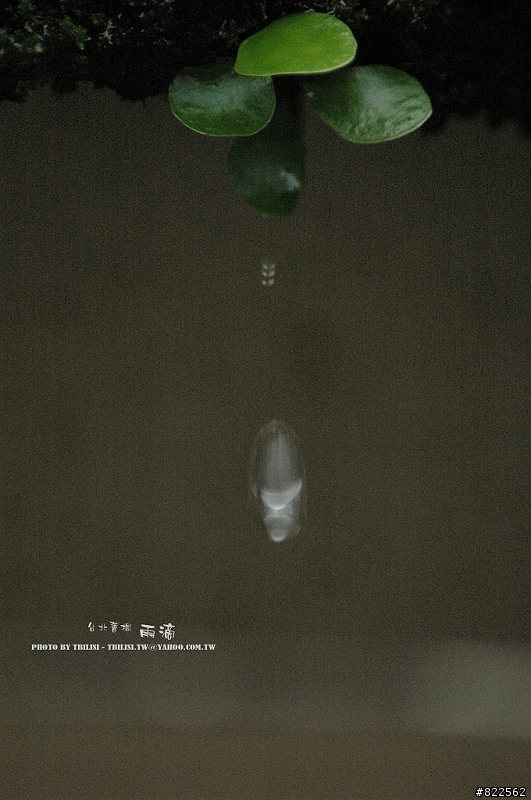 停下來~也美麗