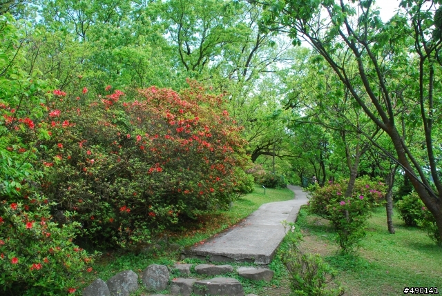 一個人的旅行～陽明山花季<圖多>待續.....