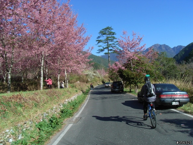 [遊記] 海拔1800M自行車道超感動誌 中橫宜蘭支線~武陵農場單車2日遊(2011.02.21 update)