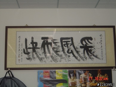 女王的變種平把公路車