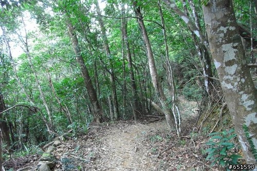 20090315再訪浸水營古道