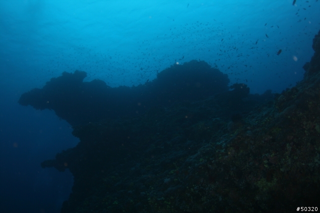 98' 綠島潛水