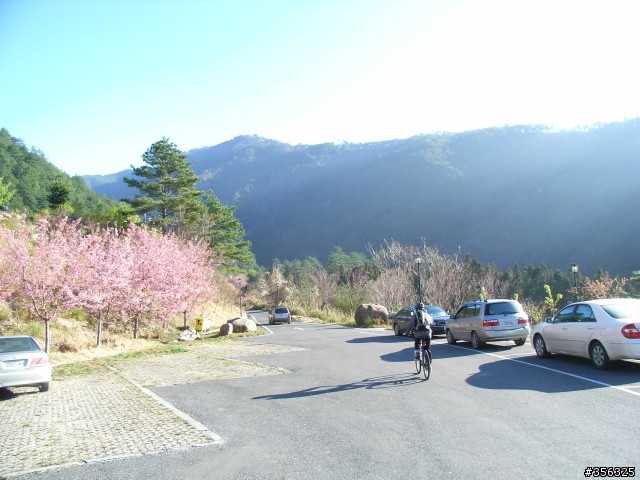 [遊記] 海拔1800M自行車道超感動誌 中橫宜蘭支線~武陵農場單車2日遊(2011.02.21 update)