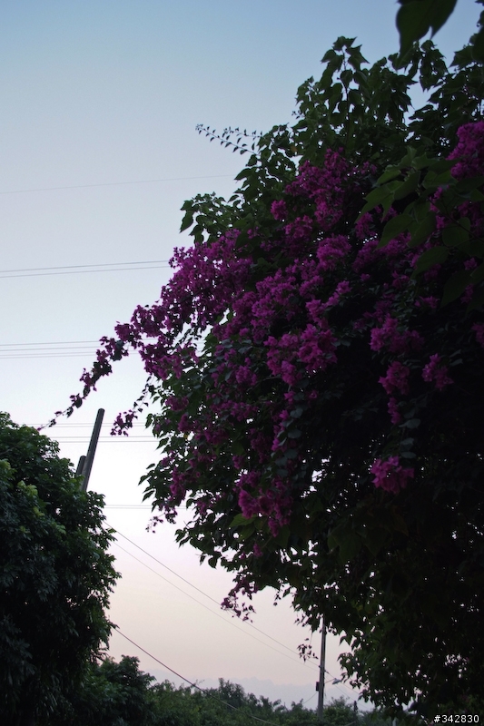 [分享]大岡山看夕陽