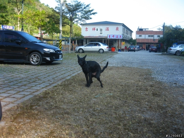 遲來的  2009年環島  ( 全程搭帳篷露營版 )
