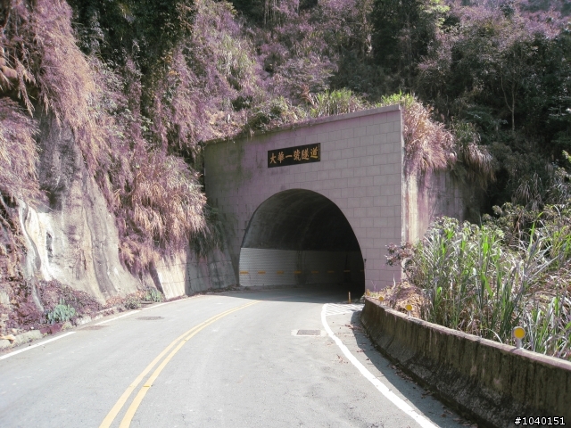 98.3.19 奮起湖 單車行