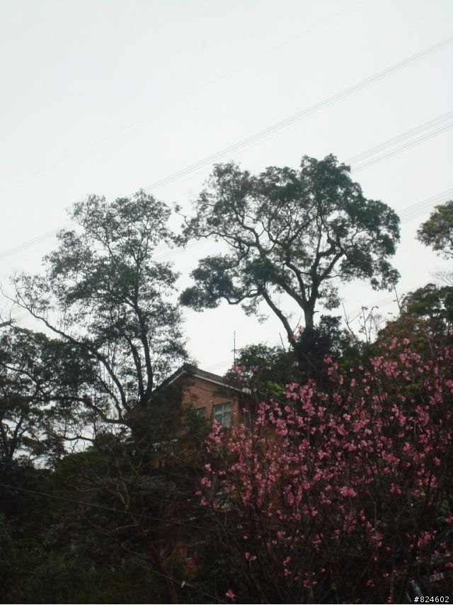 石碇北47 - 小山小水的閒情逸致