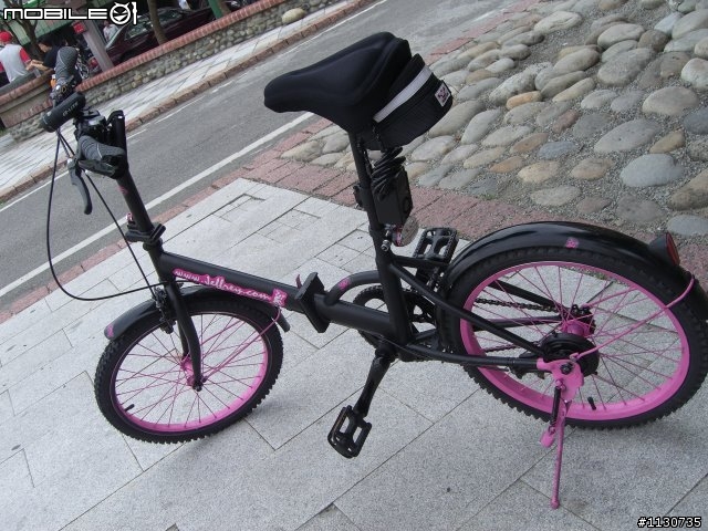 [分享] "單速小折"蛻變"八速自轉小折"舊車翻身大公開!!!
