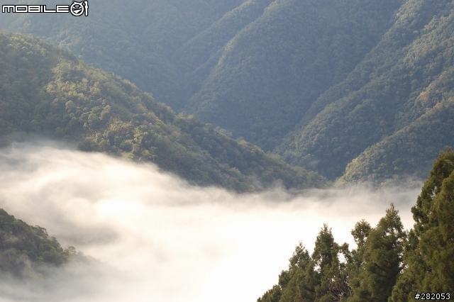 拉拉山二日遊