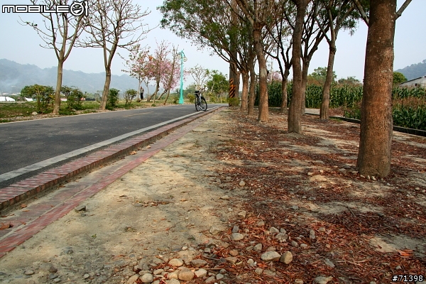 后豐鐵馬道+東豐綠色隧道+我一個人的熱血鐵馬行!!