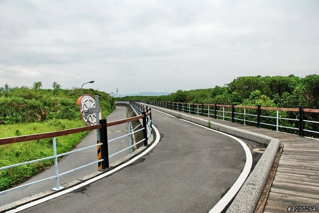 KHS T33 試騎
