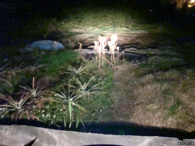 Racing 150 Fi 試駕 噴射雙碟雷霆 [圖多文長]