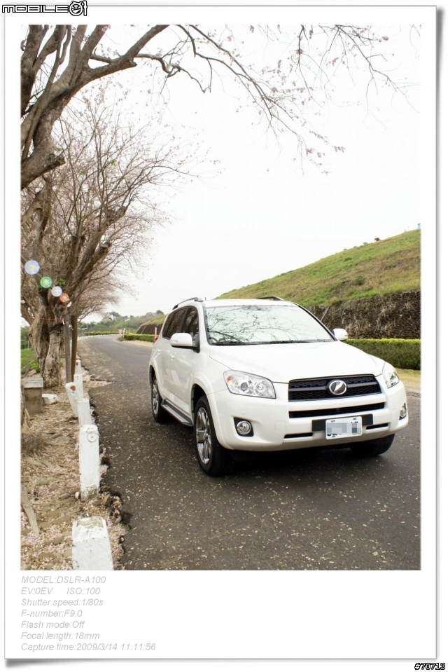 RAV4與櫻花滿開的烏山頭