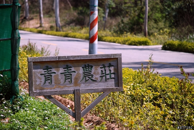 金門鐵馬環島一百公里，16歲成年禮挑戰騎