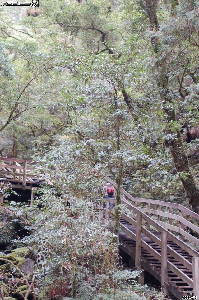 拉拉山二日遊