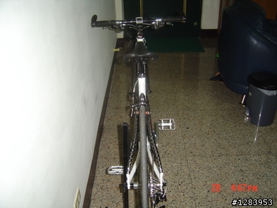 女王的變種平把公路車