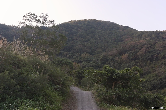 獅子：小百岳～女仍山