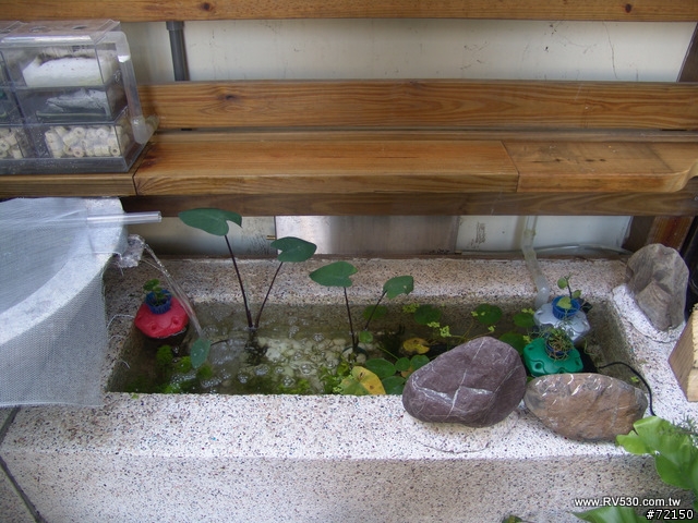 後院花園DIY施工全記錄 [圖多] (完工收尾!! 98-04-20更新)