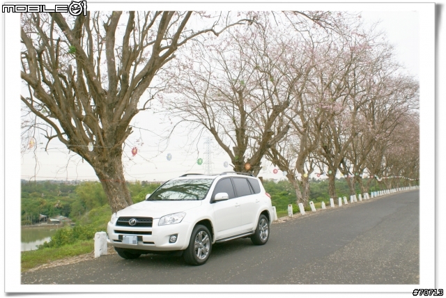 RAV4與櫻花滿開的烏山頭