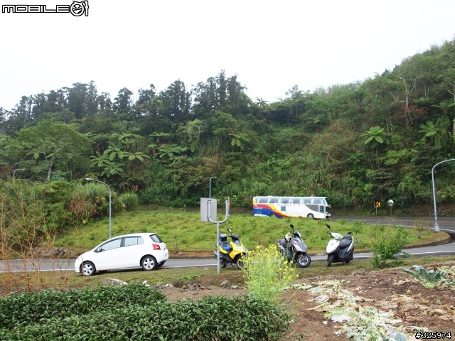 OLYMPUS E-30白色情人節の阿里山公路「雲海」