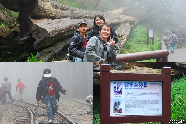 櫻櫻美代子去阿里山尋找日出東方的感動啪啪夠之旅@09-0316