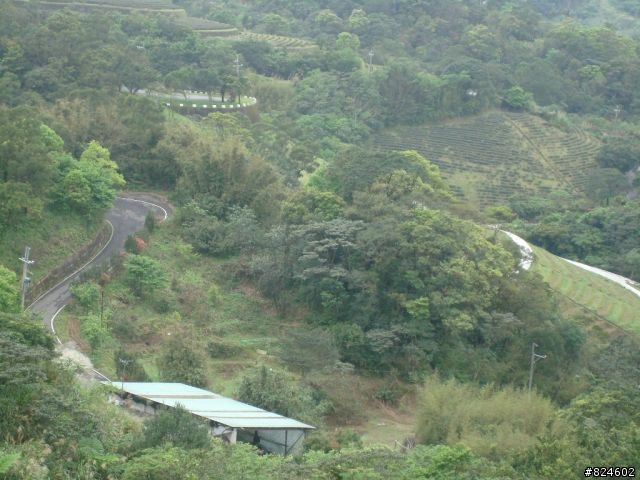 石碇北47 - 小山小水的閒情逸致