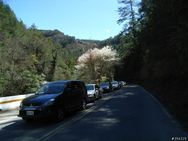 [遊記] 海拔1800M自行車道超感動誌 中橫宜蘭支線~武陵農場單車2日遊(2011.02.21 update)