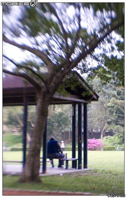 LENSBABY之鏡頭三兄弟