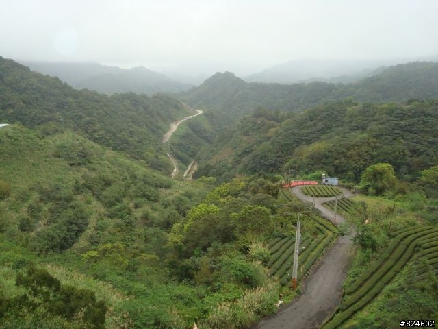 石碇北47 - 小山小水的閒情逸致