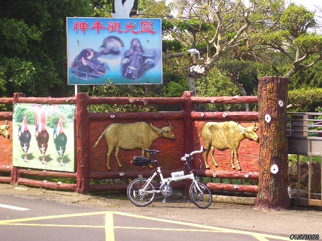 東眼山路線~新手爬山~圖多!