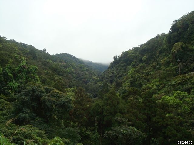 石碇北47 - 小山小水的閒情逸致