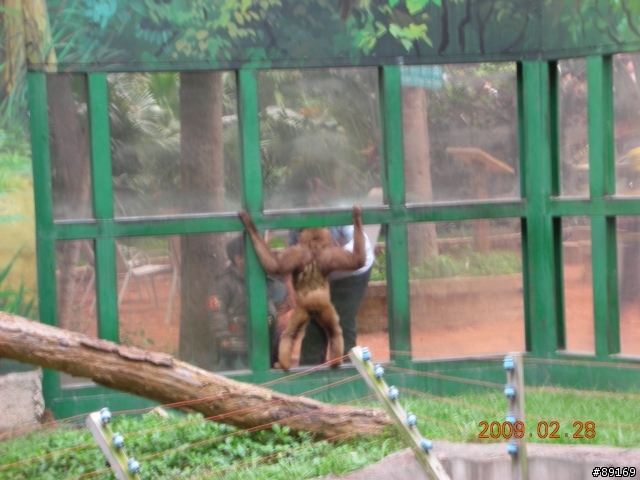 新竹動物園
