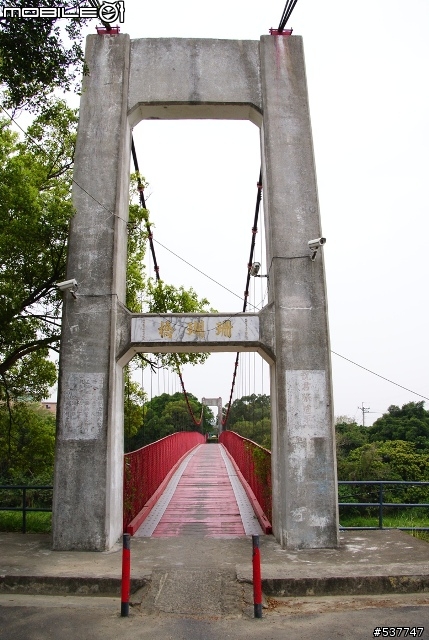 烏山頭櫻花開囉~