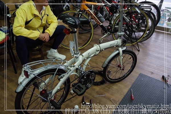 OYAMA 海豚 L300 改 18速