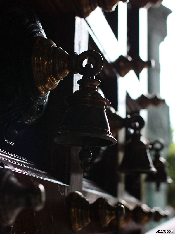 450D终于买了，28mm f/1.8也买了，发一些最新拍的...