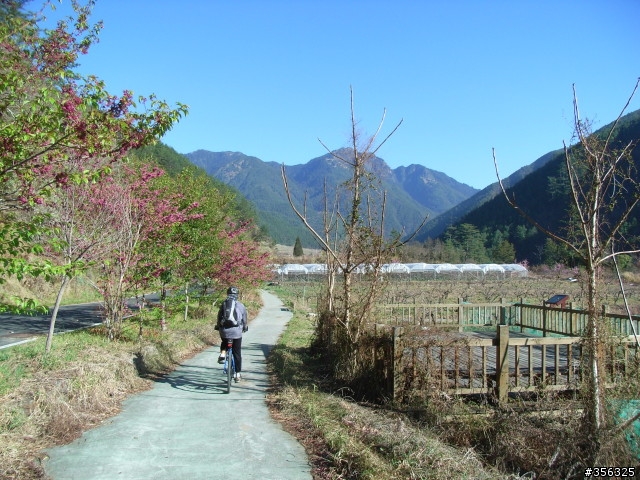 [遊記] 海拔1800M自行車道超感動誌 中橫宜蘭支線~武陵農場單車2日遊(2011.02.21 update)
