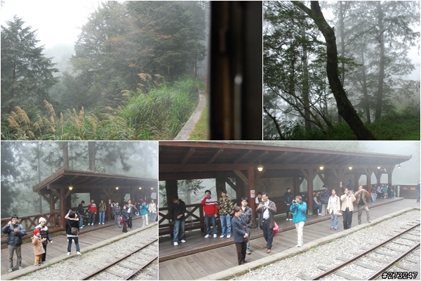 櫻櫻美代子去阿里山尋找日出東方的感動啪啪夠之旅@09-0316