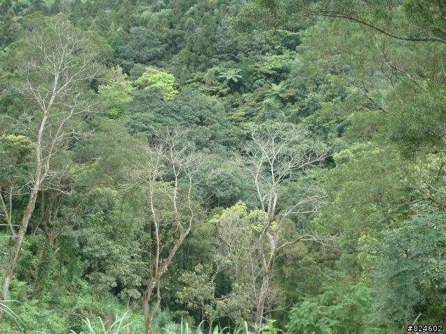 石碇北47 - 小山小水的閒情逸致